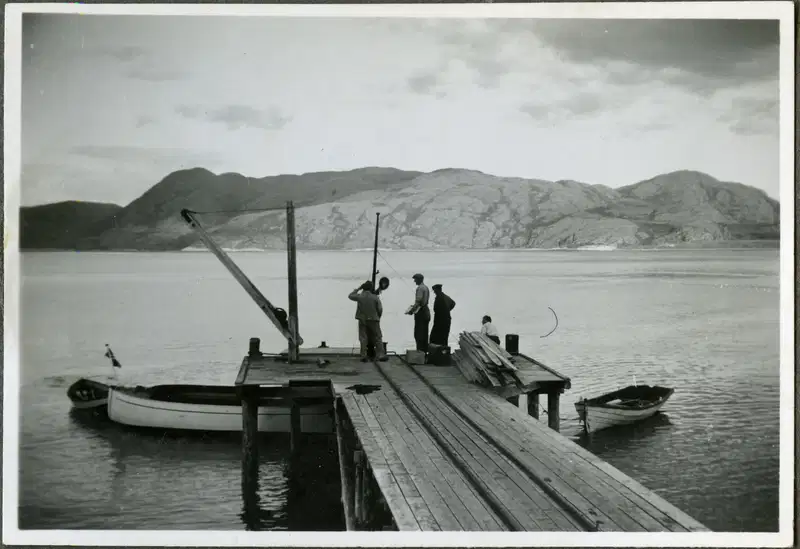 Arctic Sea story photos