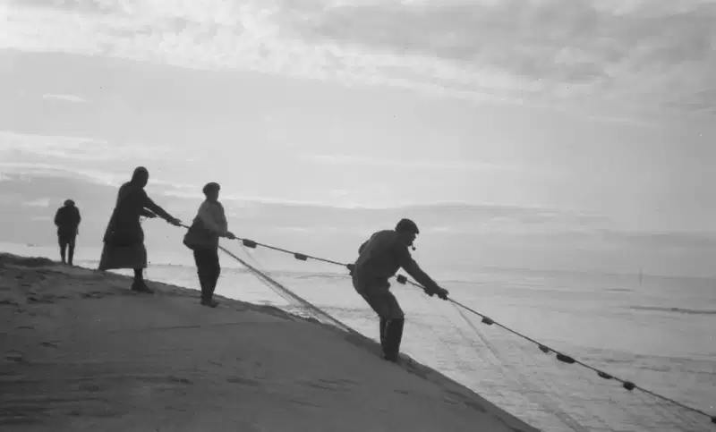 Arctic Sea story photos